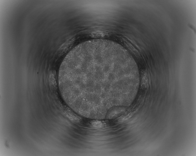 X0000097810616200804041338