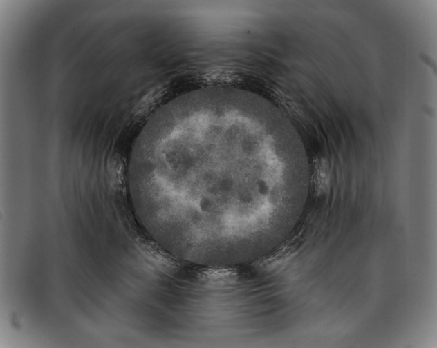 X0000097810619200804041338