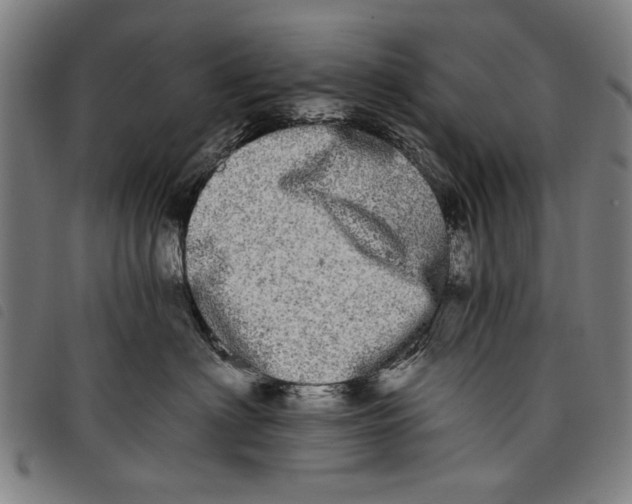 X0000097810622200804041338