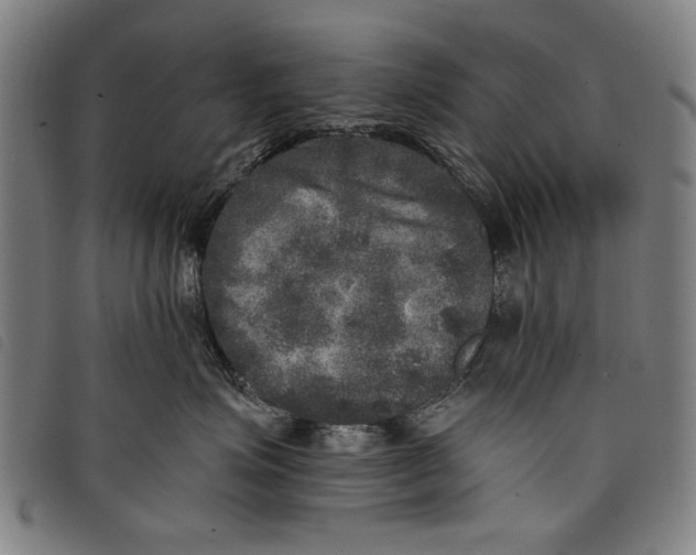 X0000097810623200804041338