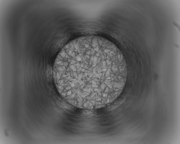 X0000097810624200804041338