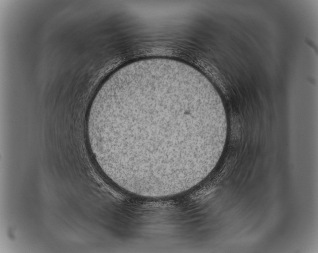 X0000097810625200804041337