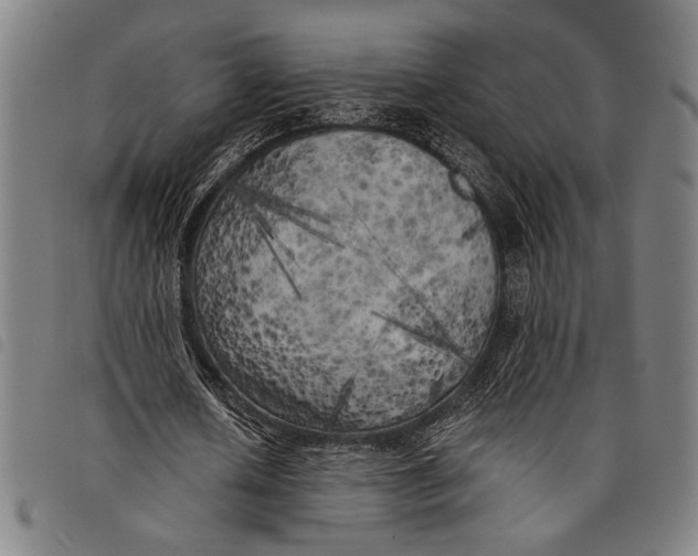 X0000097810626200804041337