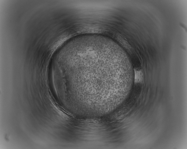 X0000097810627200804041337