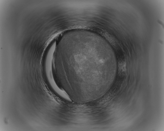 X0000097810628200804041337