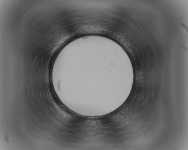 X0000097810629200804041337