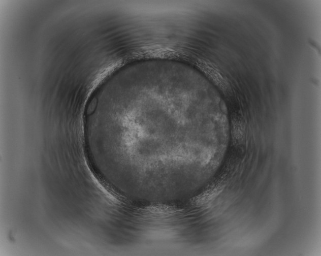 X0000097810630200804041337