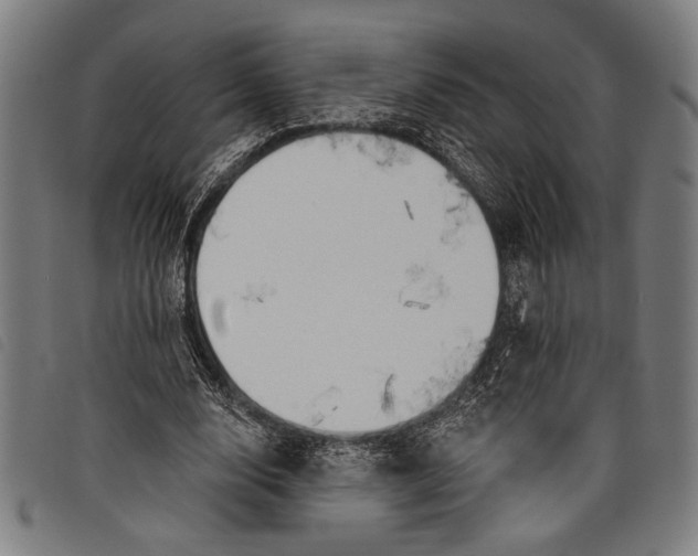 X0000097810632200804041337