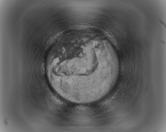 X0000097810633200804041337