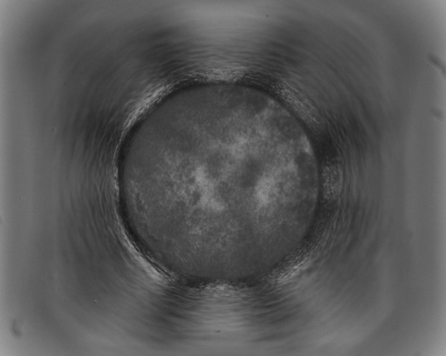 X0000097810634200804041337