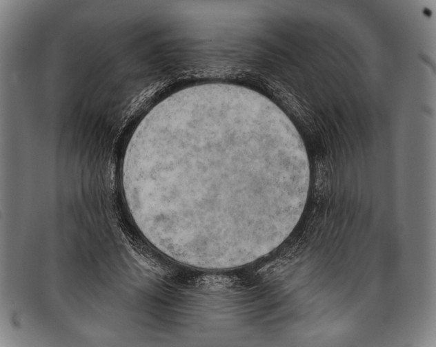 X0000097810636200804041337