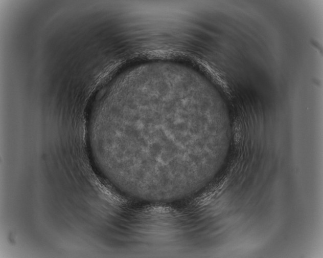 X0000097810637200804041337