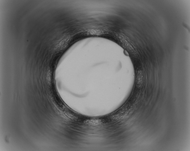 X0000097810639200804041337