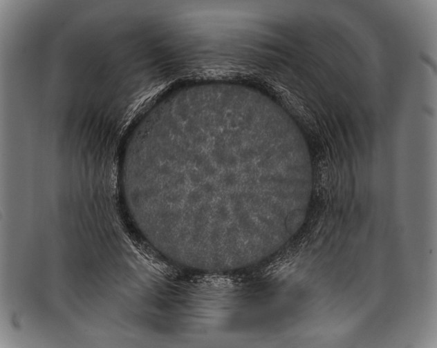 X0000097810640200804041337