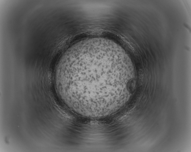 X0000097810641200804041337