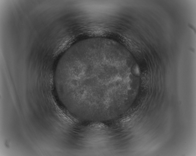 X0000097810642200804041337