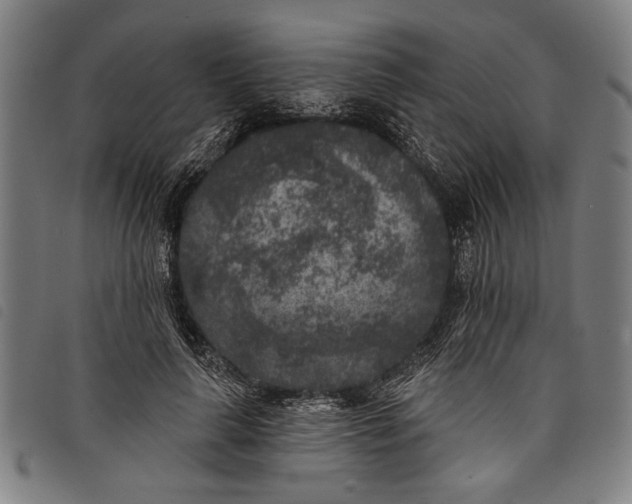 X0000097810643200804041337