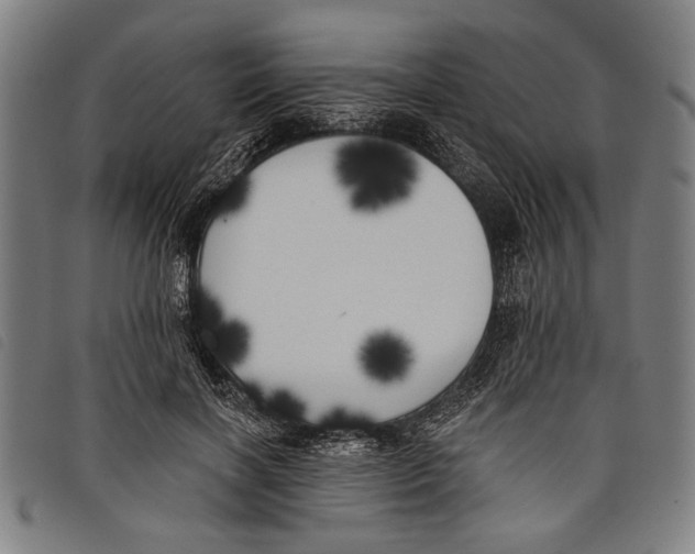 X0000097810646200804041337