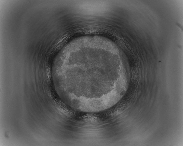 X0000097810648200804041337