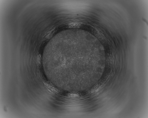 X0000097810649200804041337