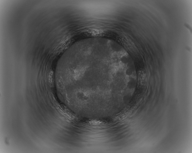 X0000097810650200804041337