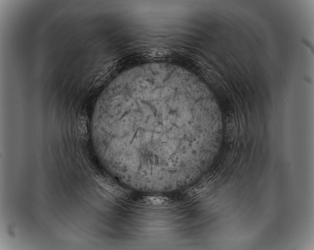 X0000097810654200804041337