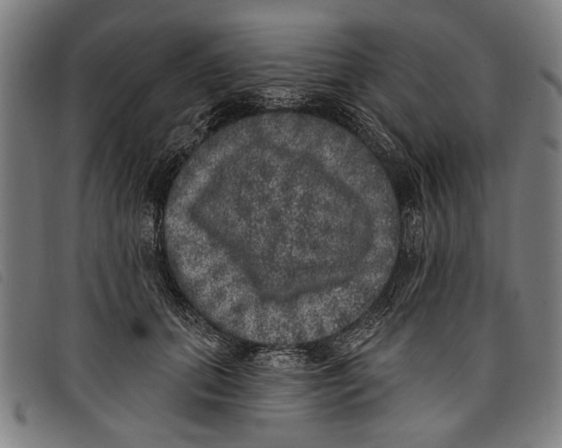 X0000097810655200804041337