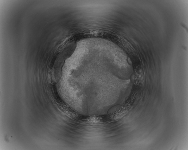 X0000097810656200804041337