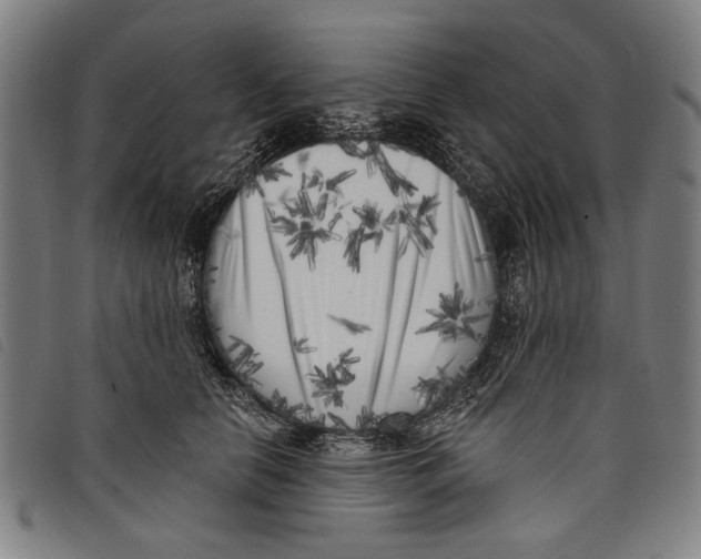 X0000097810658200804041337