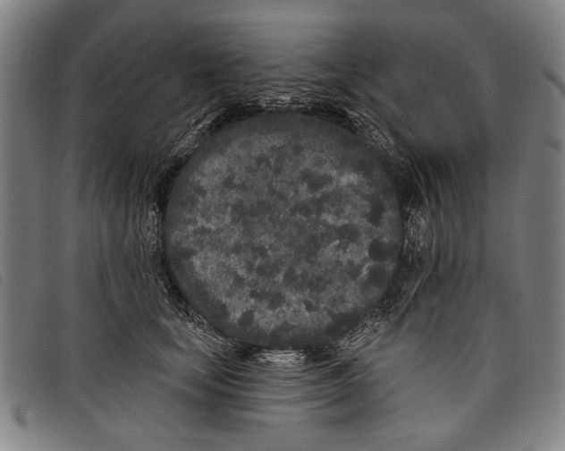 X0000097810659200804041337