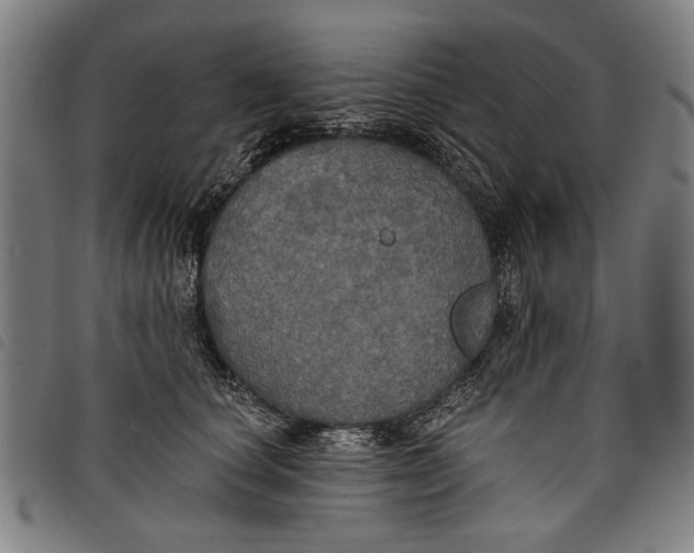 X0000097810660200804041337