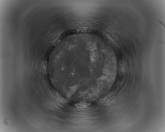 X0000097810661200804041337