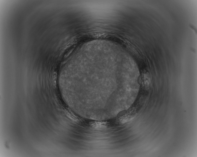 X0000097810664200804041338