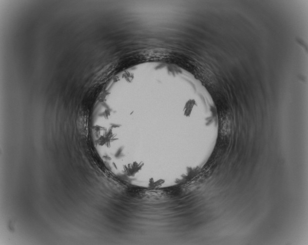 X0000097810666200804041338