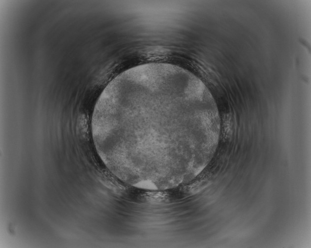 X0000097810667200804041338