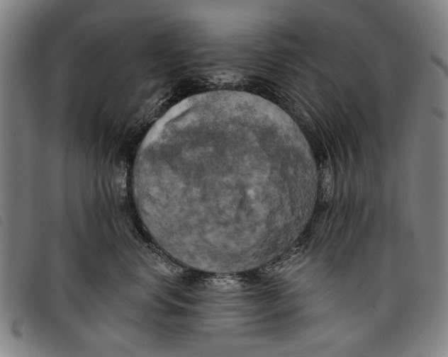 X0000097810668200804041338