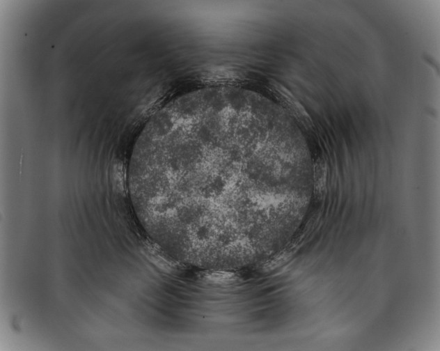 X0000097810669200804041338