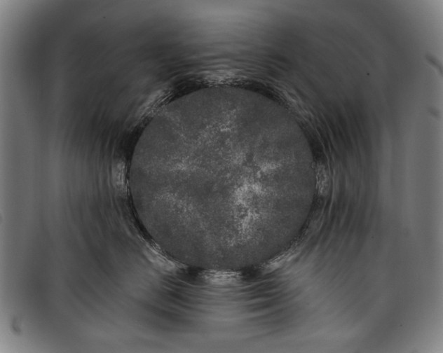 X0000097810670200804041338