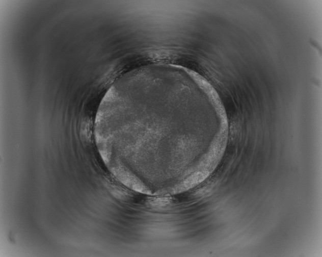 X0000097810671200804041338