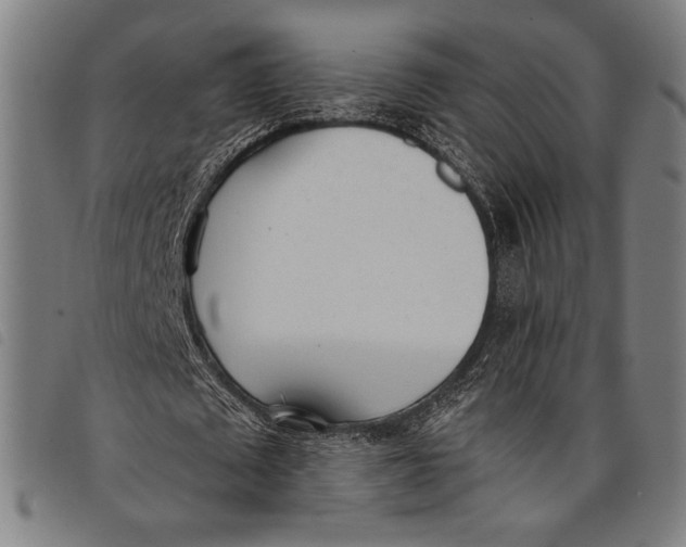 X0000097810673200804041337