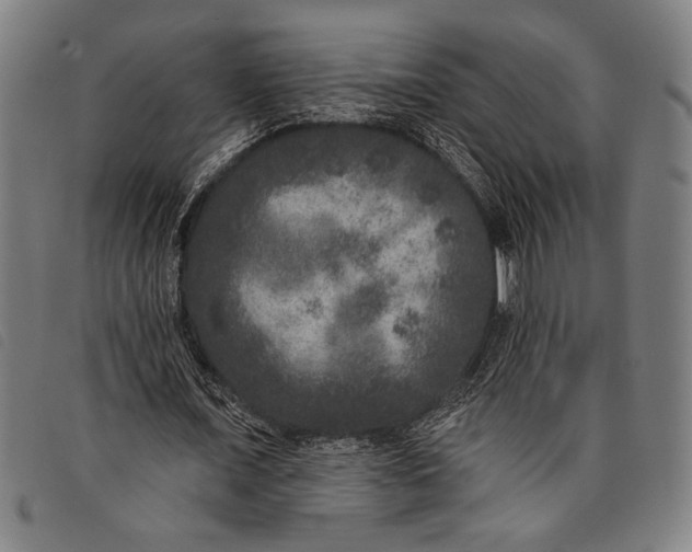 X0000097810675200804041337