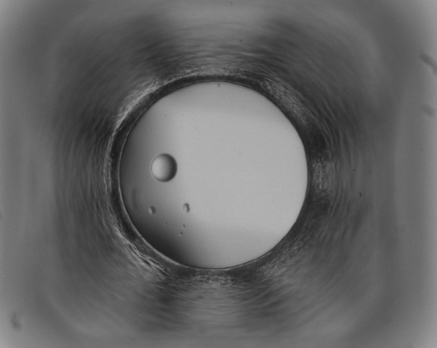 X0000097810676200804041337