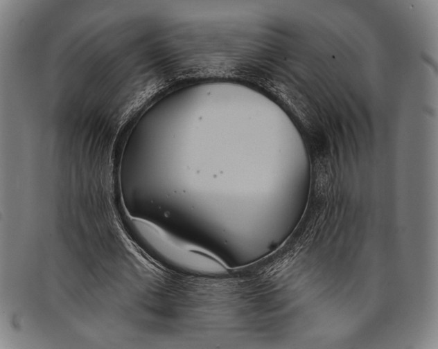 X0000097810677200804041337