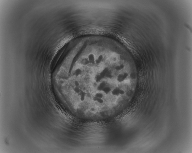 X0000097810679200804041337