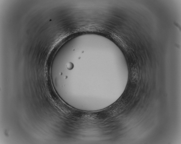 X0000097810680200804041337