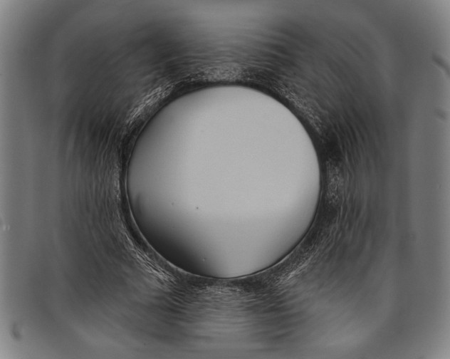 X0000097810681200804041337