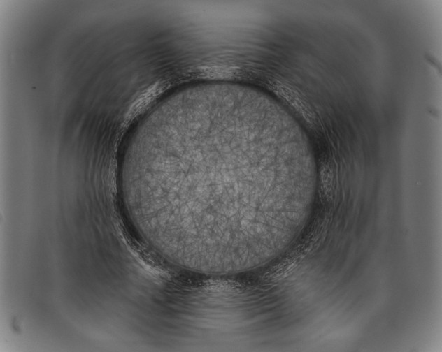 X0000097810682200804041337