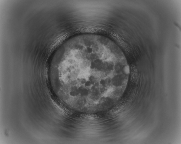 X0000097810683200804041337