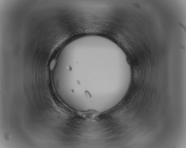 X0000097810684200804041337