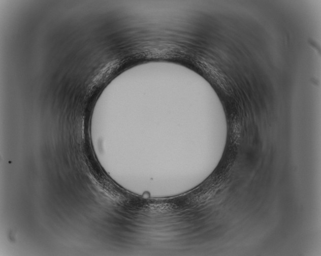 X0000097810686200804041337